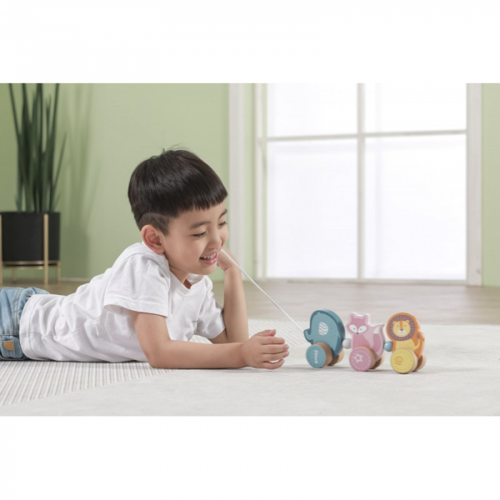 Jucarie de tras Animale din padure, PolarB, Viga [6]