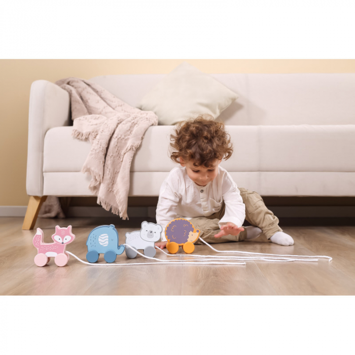 Jucarie de tras Arici, PolarB Viga [3]