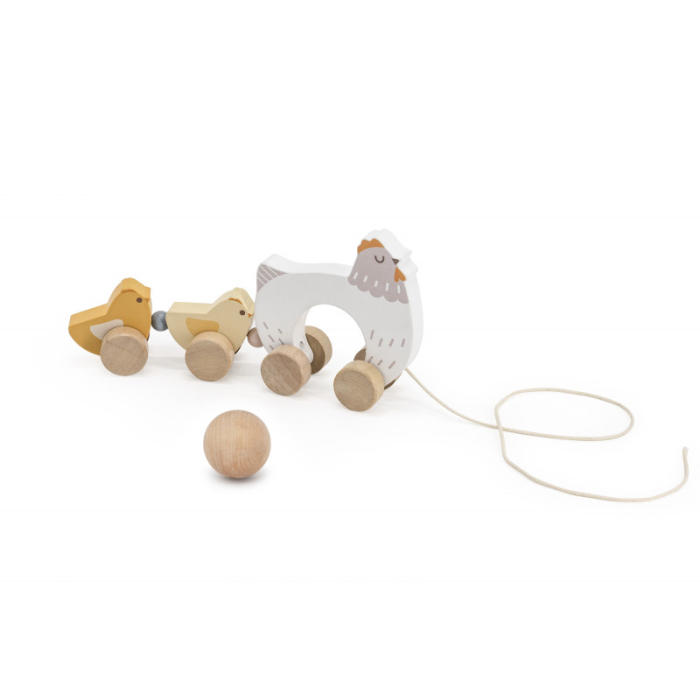 Jucarie de tras Closca cu ou rotativ si puisori veseli, PolarB Viga [3]