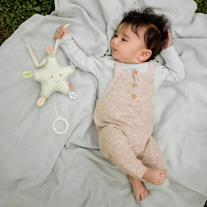 Jucarie muzicala - Steluta de mare [3]