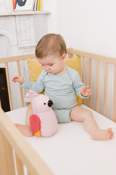 Jucarie muzicala Papagalul Paris [2]