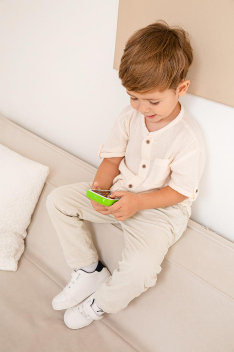 JUCARIE-TELEFONUL INTELIGENT [6]