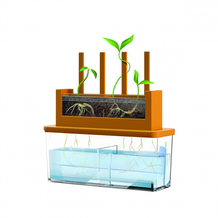 Kit stiintific - Creste un Labirint, Stiinta Verde - Green Science [4]