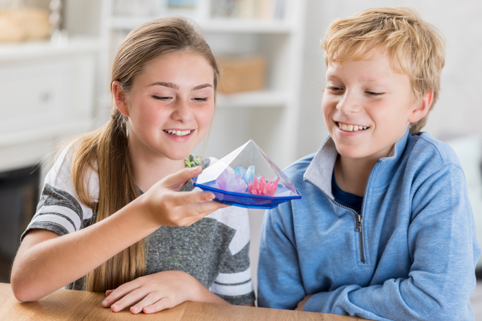 Kit stiintific - Gradina cu Cristale, STEAM Kids [2]