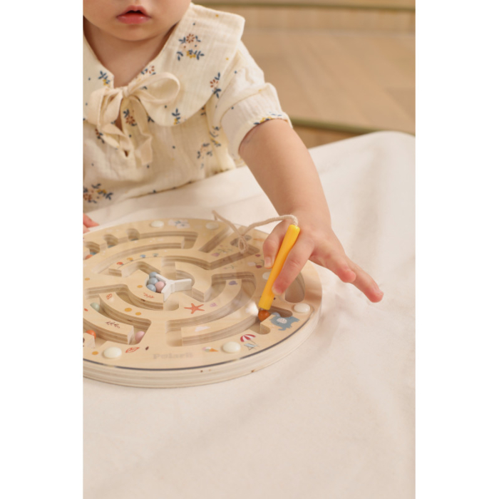 Labirint Magnetic 4 Anotimpuri, PolarB Viga [2]