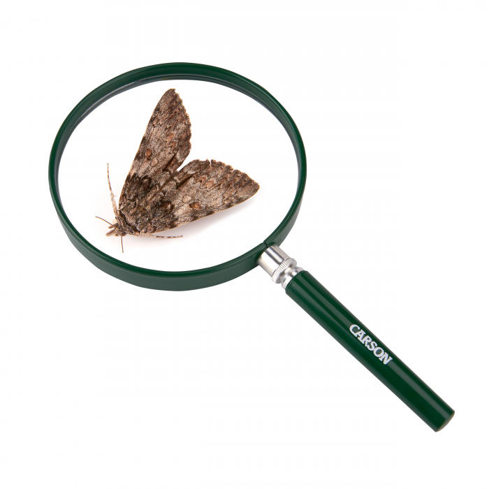 Lupa cu lentila mare si marire 2x , BigEye [3]