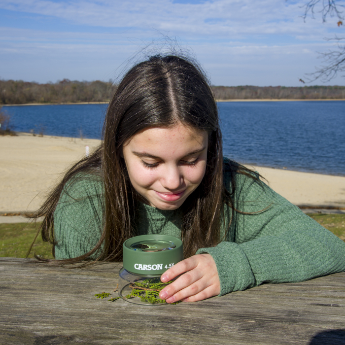 Lupa cu suport, marire 4.5x,  BugLoupe [6]