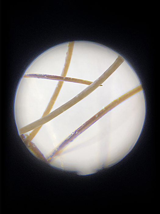 Microscop portabil cu LED si UV, cu adaptor de smartphone, marire 100-250x, MicroFlip [7]