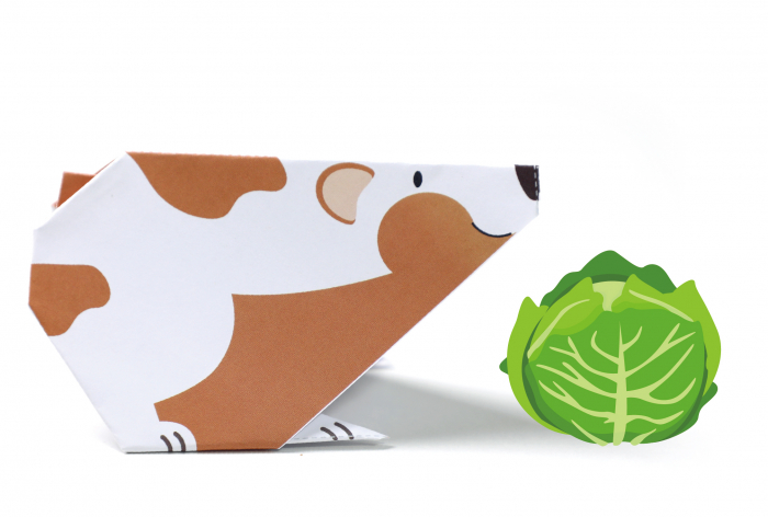 Origami - Animale de companie - nivel 1 [9]