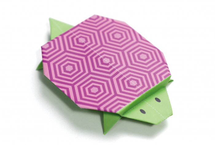 Origami - Animale de companie - nivel 1 [6]