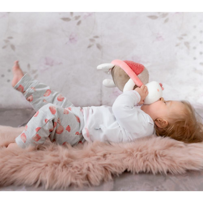 Pernuta anticolici - Broscuta testoasa [2]