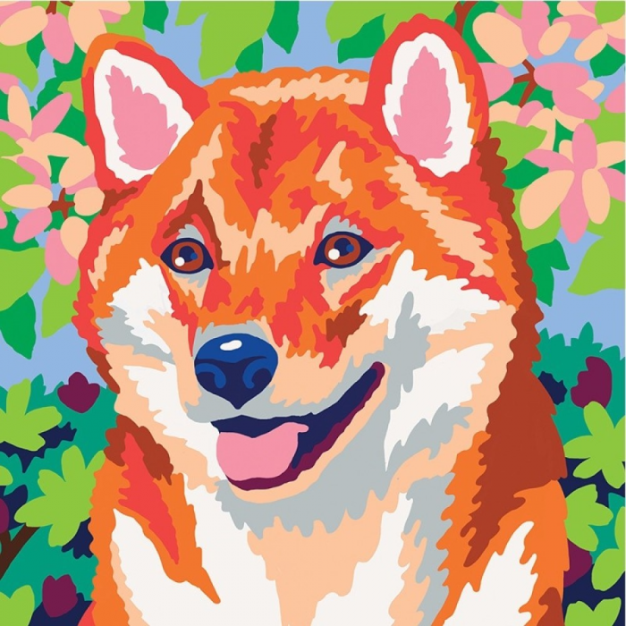 Pictura pe numere Colorizzy Panda rosu&Shiba [4]