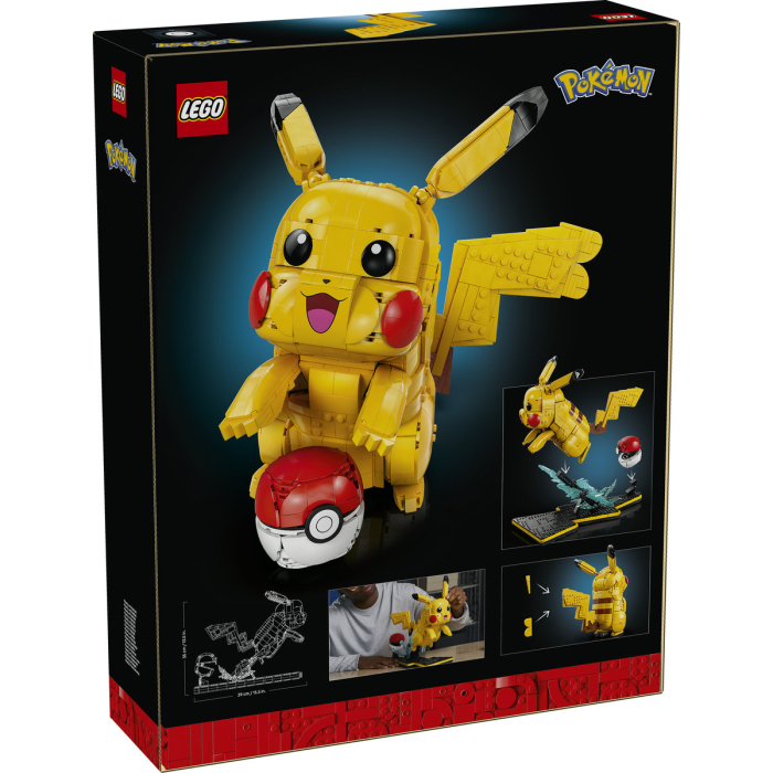 Pikachu și Poké Ball [3]