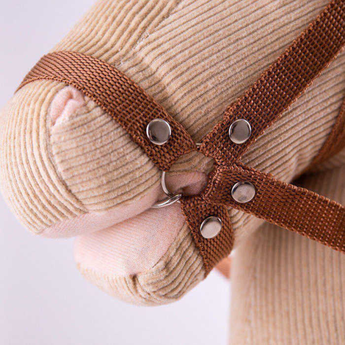 Primul meu calut cu tija [4]