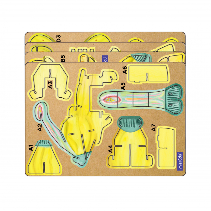 Puzzle 3D cu sunete - Parasaurolophus, Build 'n' Sound [4]