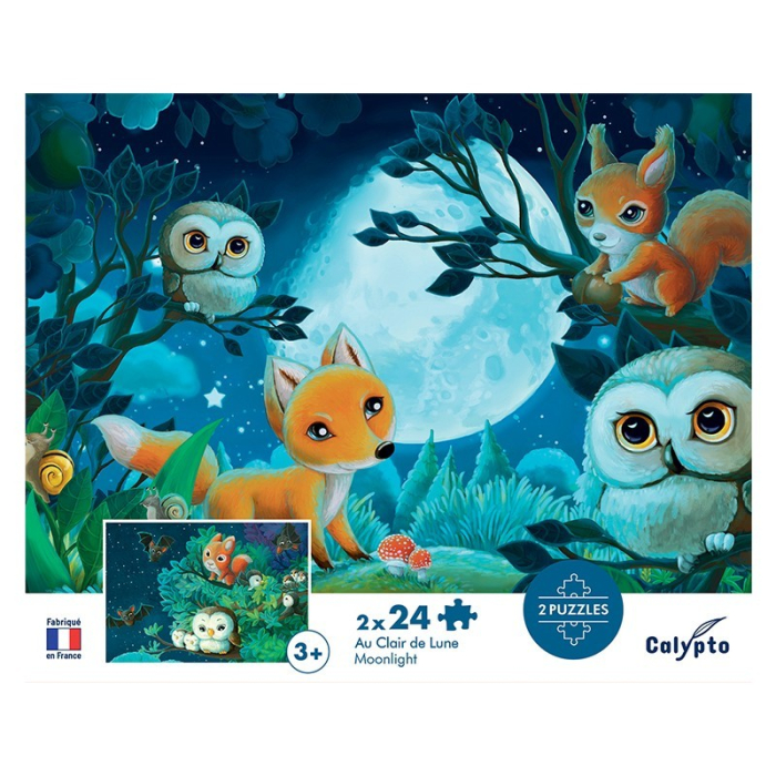 Puzzle Carton 2 x 24 piese - In lumina lunii - Sentosphere [3]