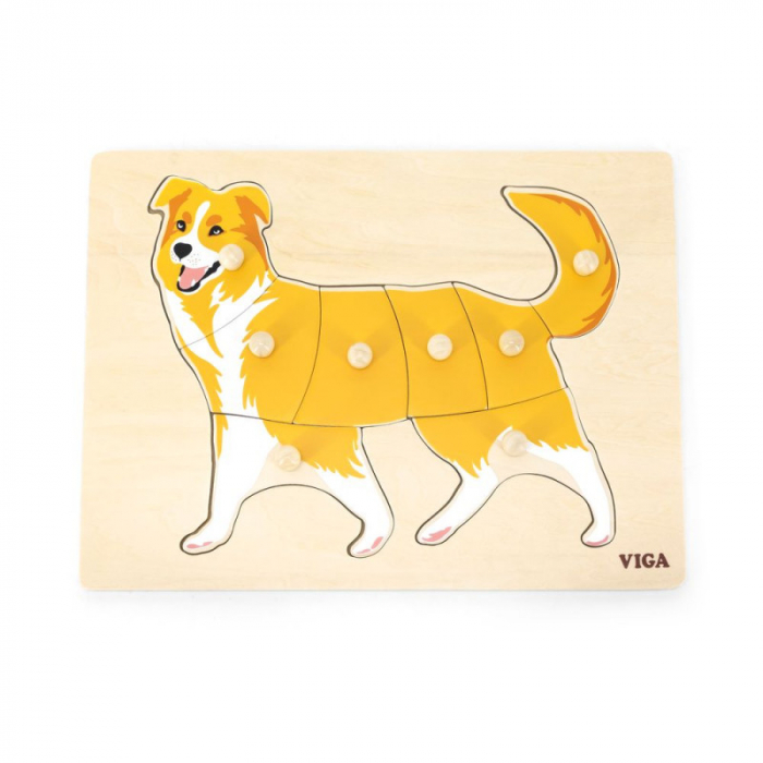 Puzzle Montessori, Catel, Viga [5]