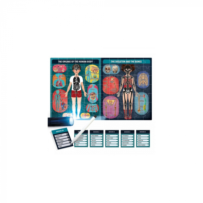 Headu Stem - Puzzle Radiografia Corpului Uman [2]