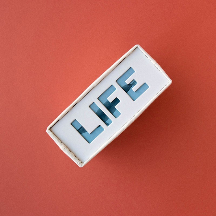 Puzzle Viata in salbaticie, Londji [5]