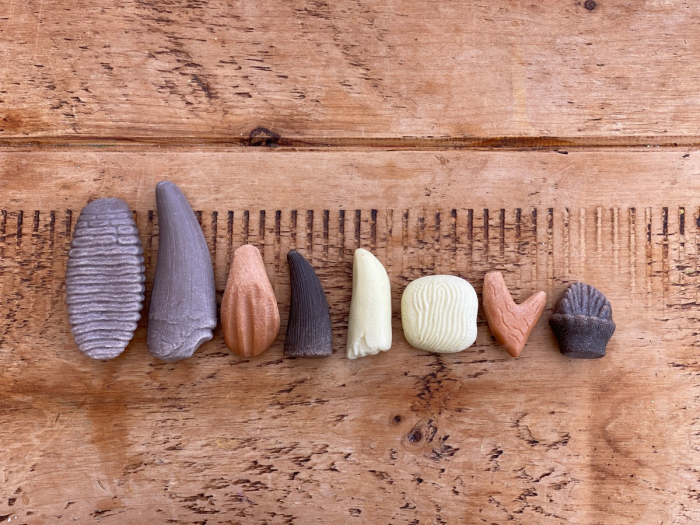 Sa investigam! - Dinti preistorici [3]