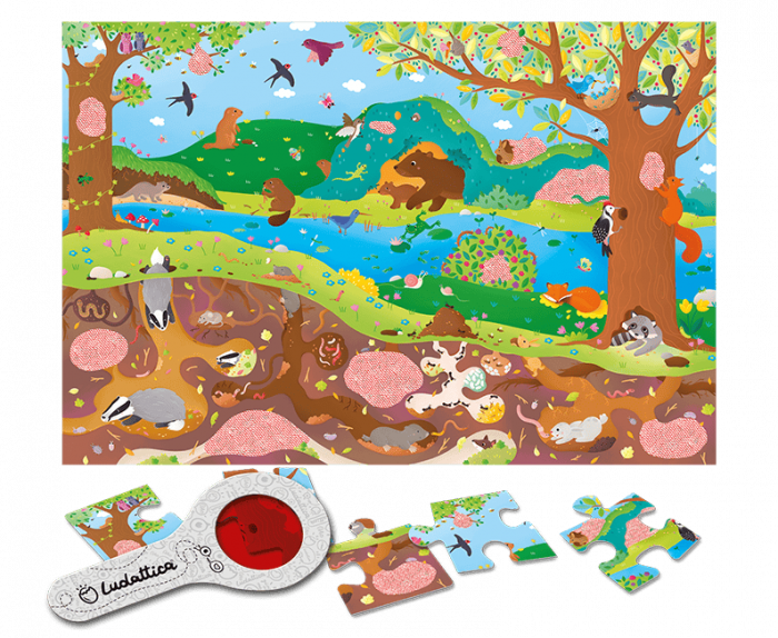 SECRET PUZZLE – Mediul Înconjurător [2]