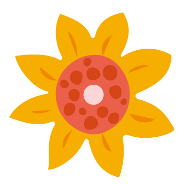 Set creativ Everyday Craft - confectioneaza Flori-morișcă [9]