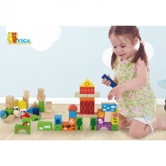 Set cuburi Ferma, 50 de piese, Viga [6]
