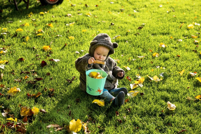 Set de gradinarit Egmont, galeata cu broscute [2]