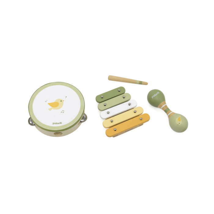 Set de jucarii muzicale Pasari, PolarB Viga [3]
