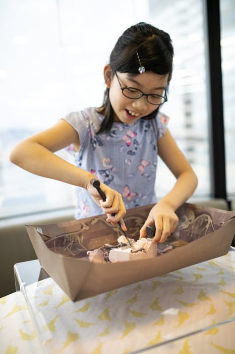 Set educativ Sapa si descopera Dinozauri - Stegosaurus [6]