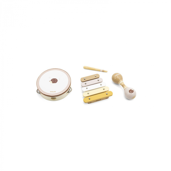 Set muzical - Arici, PolarB Viga [3]