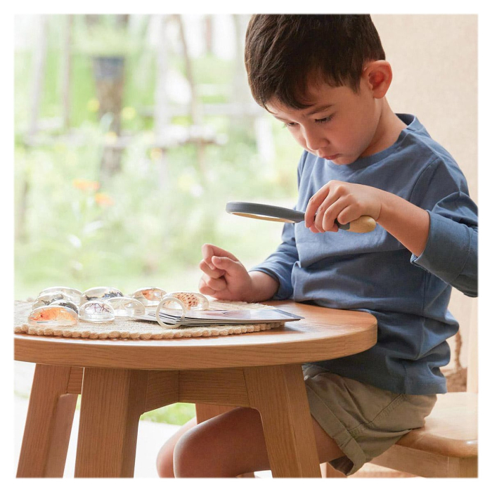 Specimen Stones, pietre din acril cu creaturi marine [5]