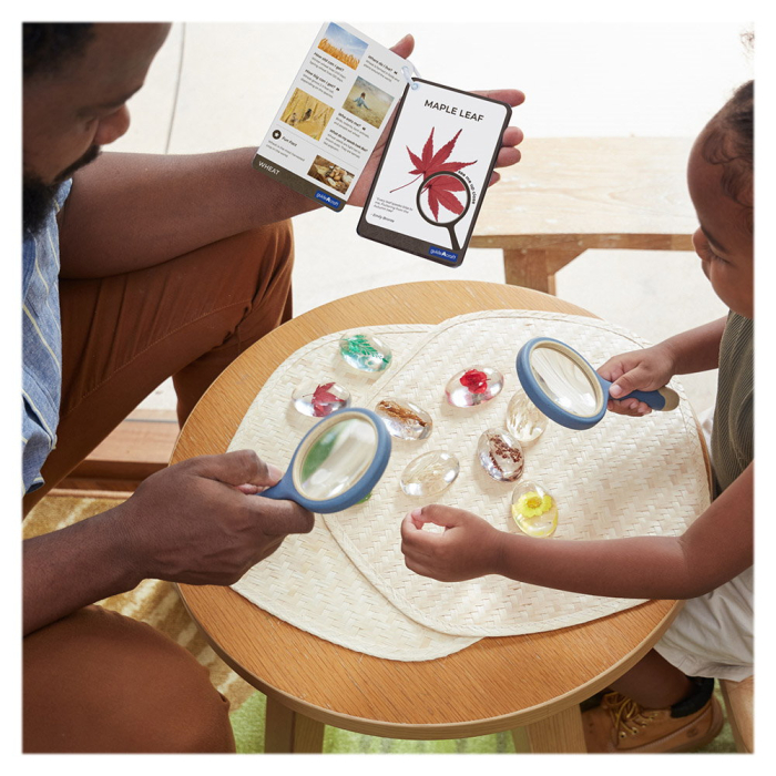 Specimen Stones, pietre din acril cu plante, Guidecraft [2]