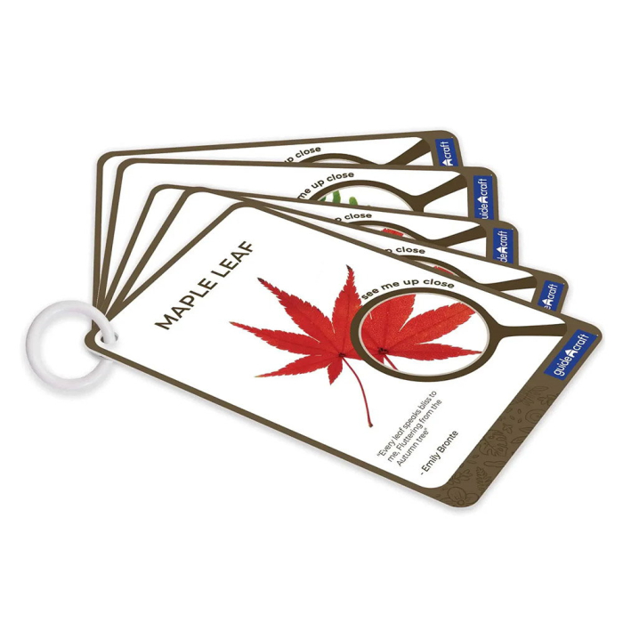 Specimen Stones, pietre din acril cu plante, Guidecraft [6]