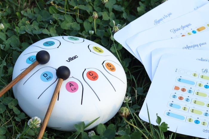Tongue drum - instrument de percutie toba xilofon - Vilac [4]