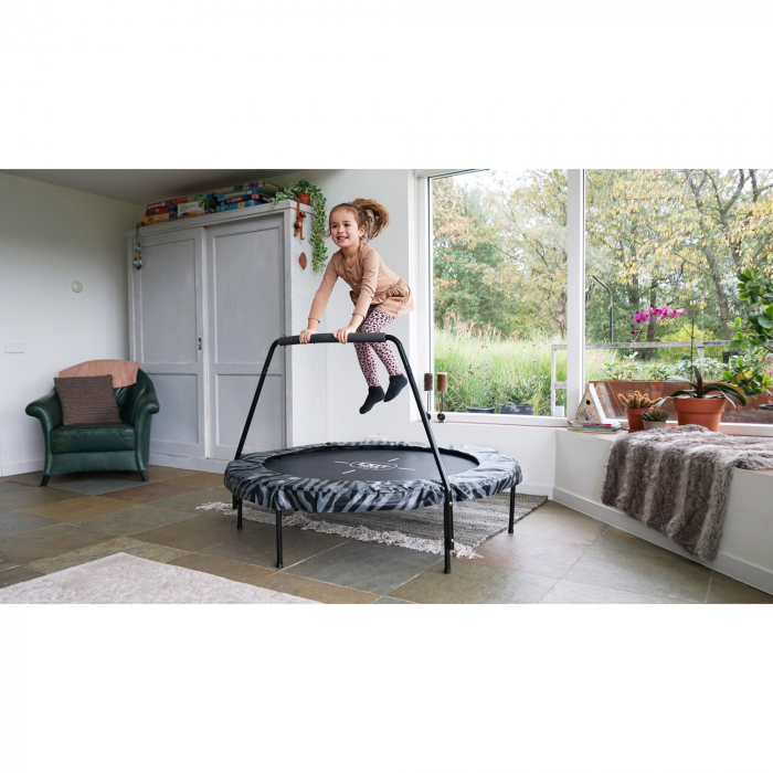 Trambulina Tiggy junior cu bară ø140cm - neagră/gri [6]