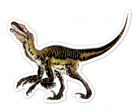 Abtibilduri razuibile - Dinozauri, colectia Creatii Naturale [6]