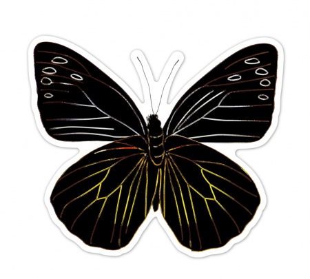 Abtibilduri razuibile - Fluturi, colectia Creatii Naturale [6]