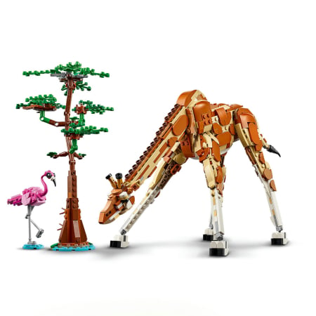 Animale salbatice din safari [7]