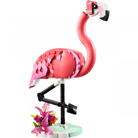  Animale salbatice: Flamingo roz [8]