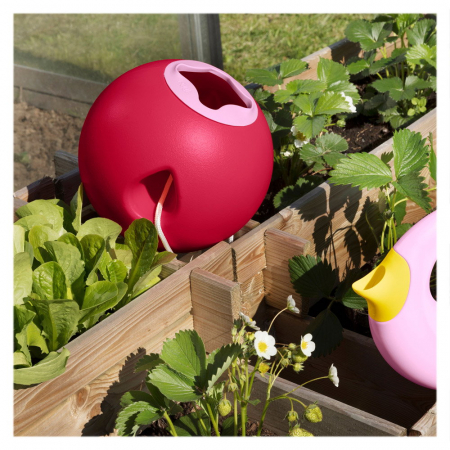 Ballo, Galetusa pentru apa, rosu, Quut Toys [3]