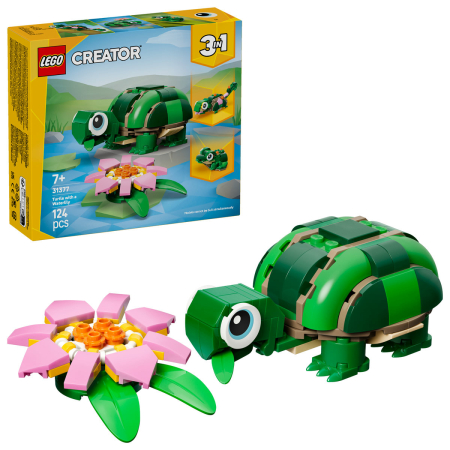 Noutati - Broască-țestoasă cu o floare de nufăr