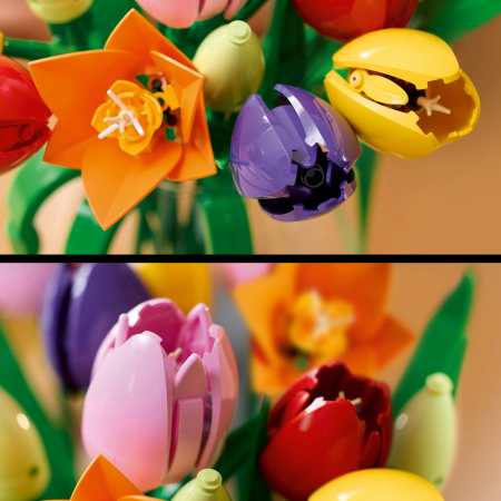 Buchet de lalele [6]