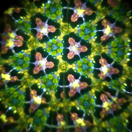 Caleidoscop rotativ Pasari din padure, Svoora [2]