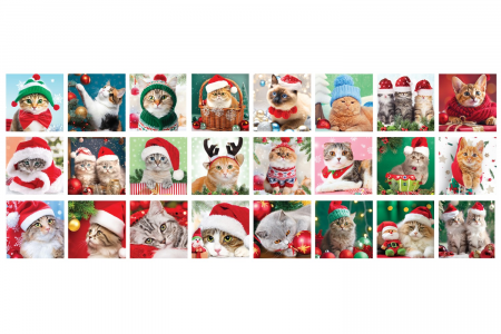 Calendar de Advent Pisici, 24 puzzle-uri, 50 piese [4]