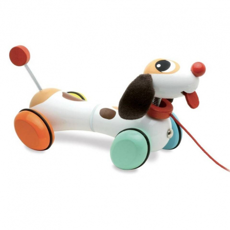 Jucarii Educative - Catelus de tras - Toutou