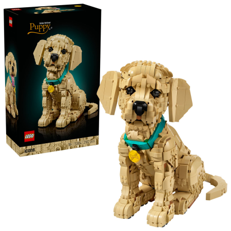 Noutati - Cățeluș Golden Retriever