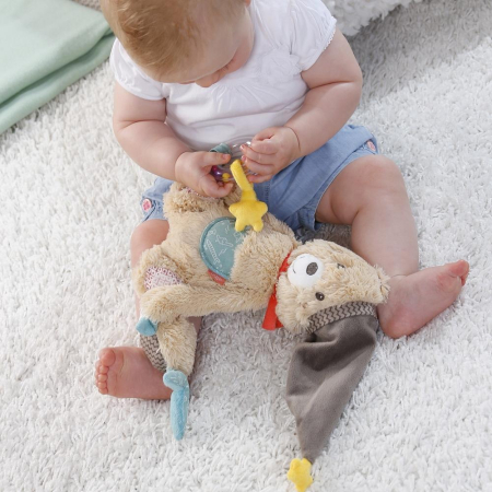 Centru de activitati  - Bruno [6]