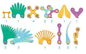 Clixo® joc magnetic de construit - Pasari tropicale (22 piese) [4]