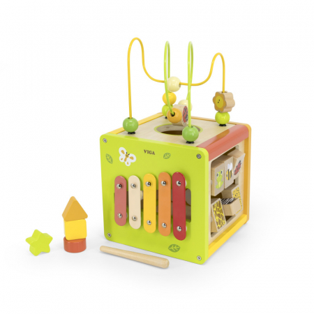 Jucarii Educative - Cub cu activitati 5-in-1, Viga